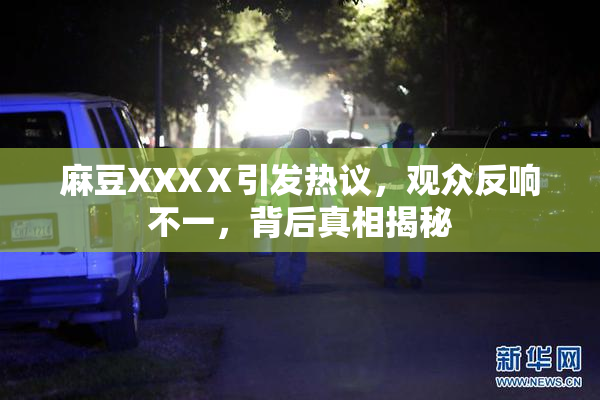 麻豆XXXⅩ引发热议，观众反响不一，背后真相揭秘