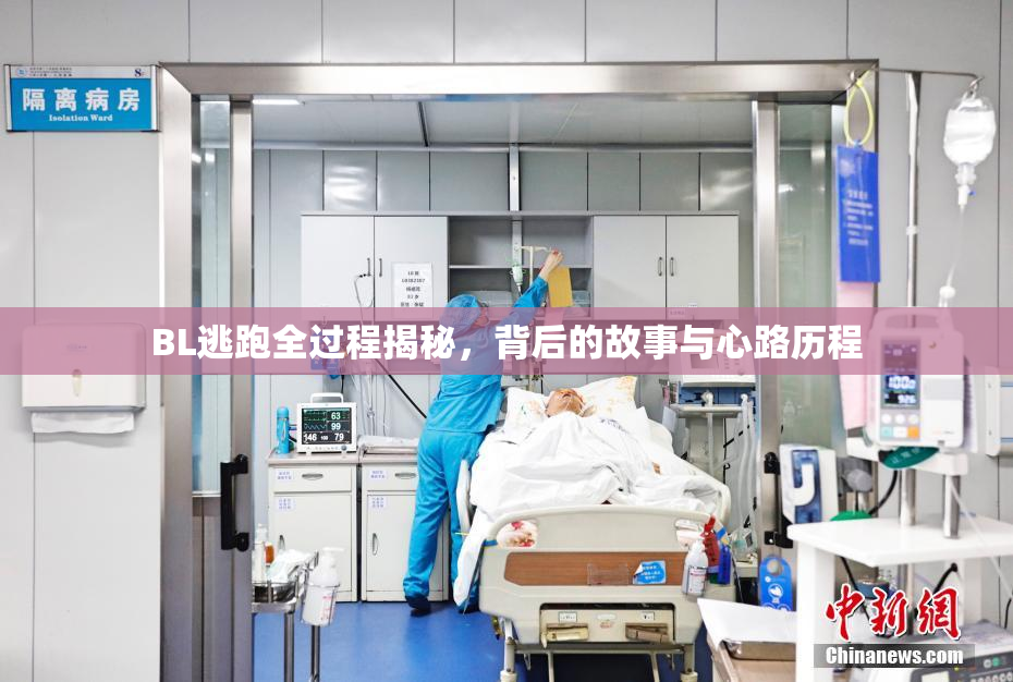 BL逃跑全过程揭秘，背后的故事与心路历程