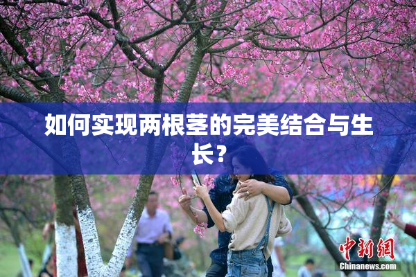 如何实现两根茎的完美结合与生长？