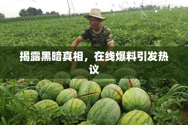 揭露黑暗真相，在线爆料引发热议