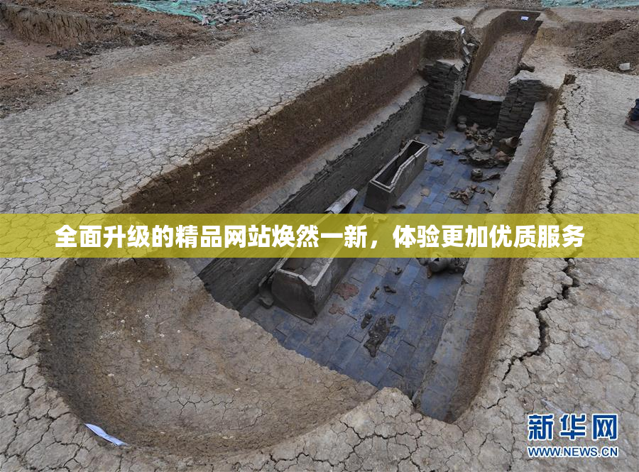全面升级的精品网站焕然一新，体验更加优质服务