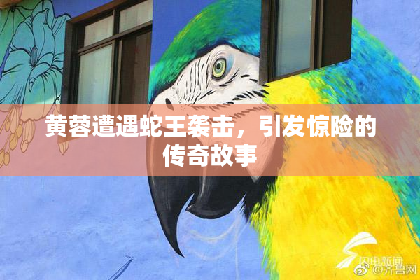 黄蓉遭遇蛇王袭击，引发惊险的传奇故事