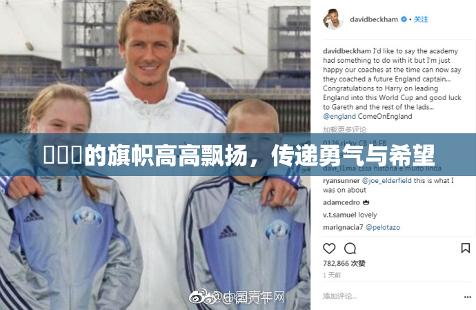 逹葢薾的旗帜高高飘扬，传递勇气与希望