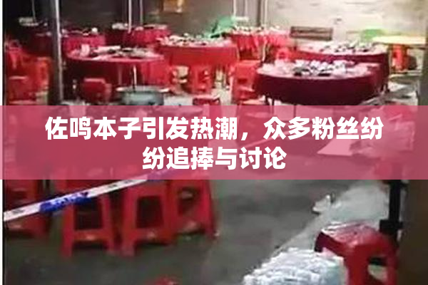 佐鸣本子引发热潮，众多粉丝纷纷追捧与讨论