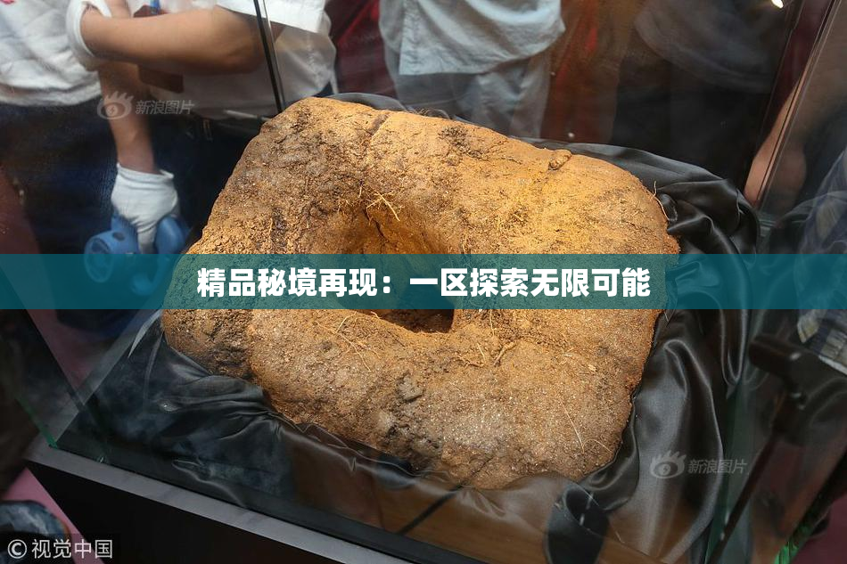 精品秘境再现：一区探索无限可能