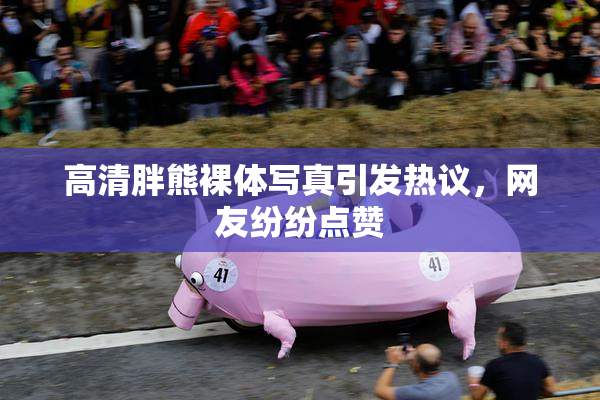 高清胖熊裸体写真引发热议，网友纷纷点赞