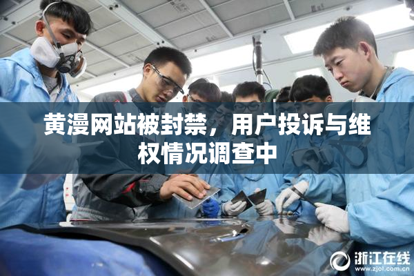 黄漫网站被封禁，用户投诉与维权情况调查中