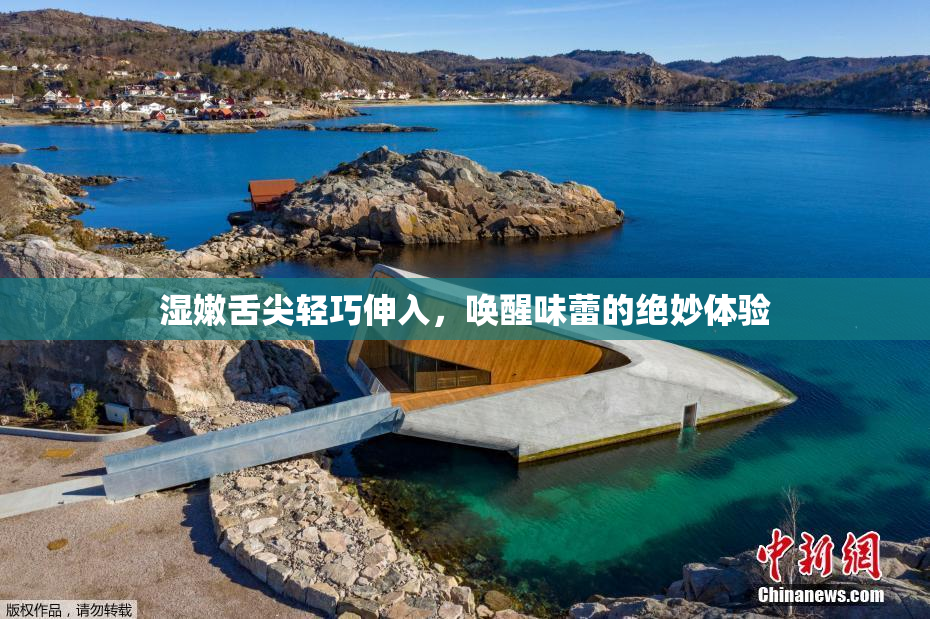 湿嫩舌尖轻巧伸入，唤醒味蕾的绝妙体验