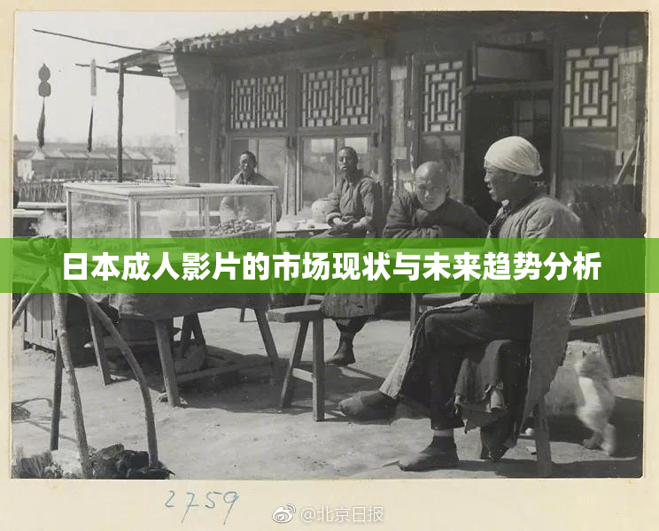 日本成人影片的市场现状与未来趋势分析