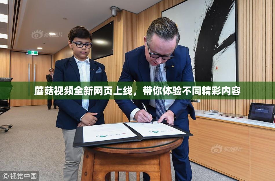蘑菇视频全新网页上线，带你体验不同精彩内容