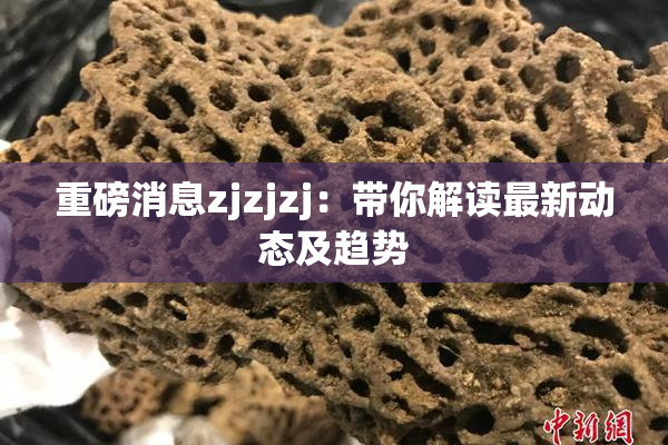 重磅消息zjzjzj：带你解读最新动态及趋势