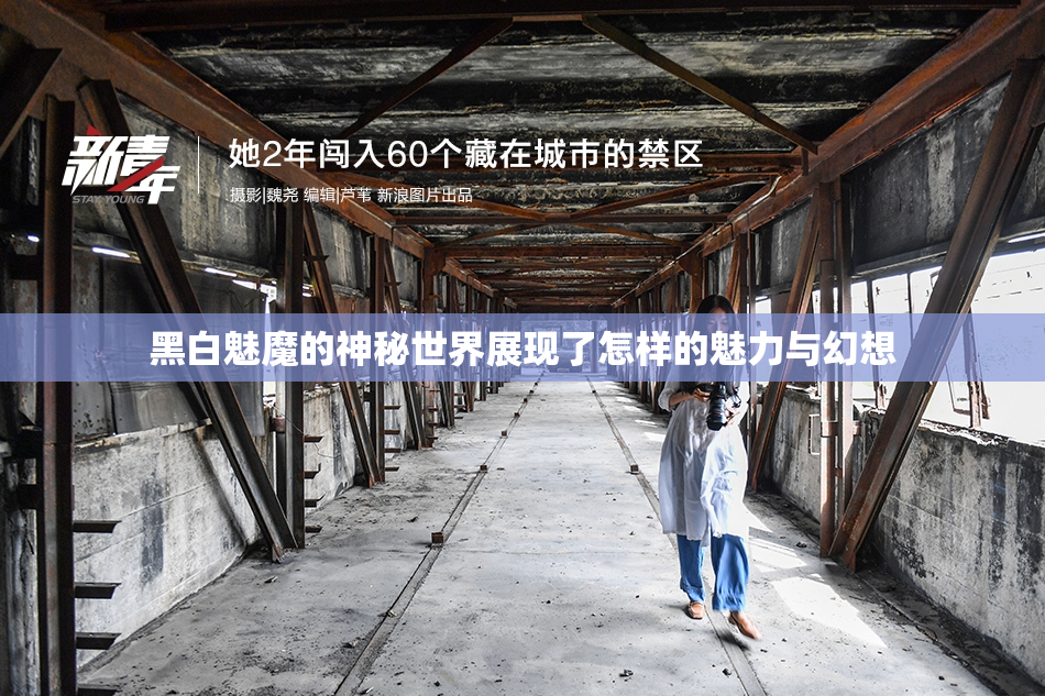 黑白魅魔的神秘世界展现了怎样的魅力与幻想