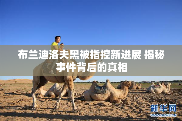布兰迪洛夫黑被指控新进展 揭秘事件背后的真相