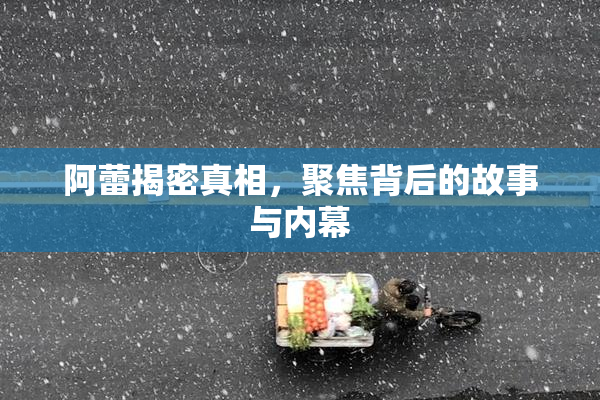 阿蕾揭密真相，聚焦背后的故事与内幕