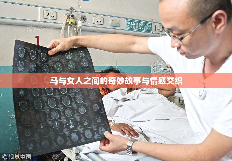 马与女人之间的奇妙故事与情感交织