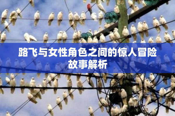 路飞与女性角色之间的惊人冒险故事解析