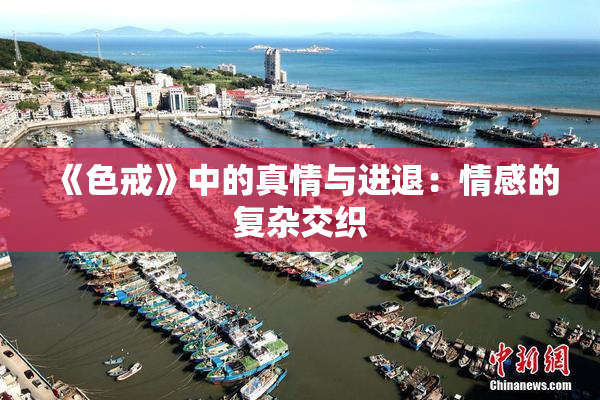 《色戒》中的真情与进退：情感的复杂交织