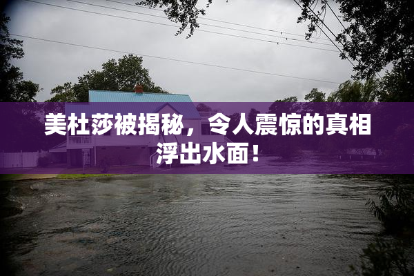 美杜莎被揭秘，令人震惊的真相浮出水面！