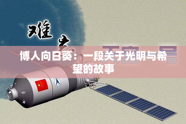 博人向日葵：一段关于光明与希望的故事