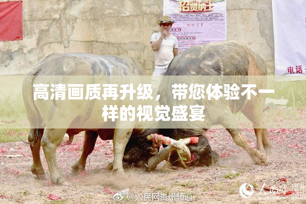 高清画质再升级，带您体验不一样的视觉盛宴