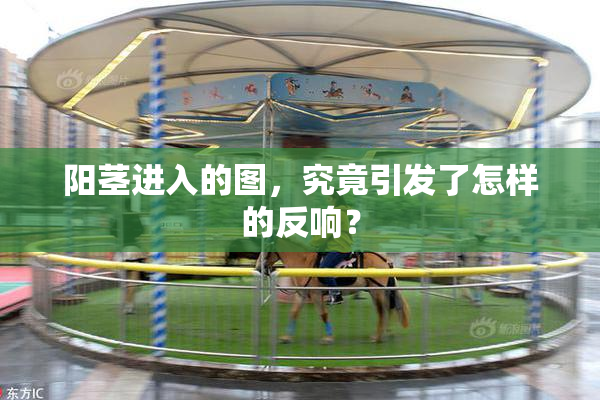 阳茎进入的图，究竟引发了怎样的反响？