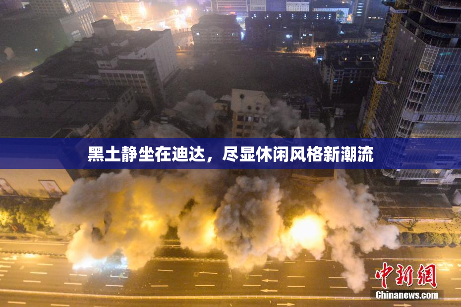 黑土静坐在迪达，尽显休闲风格新潮流