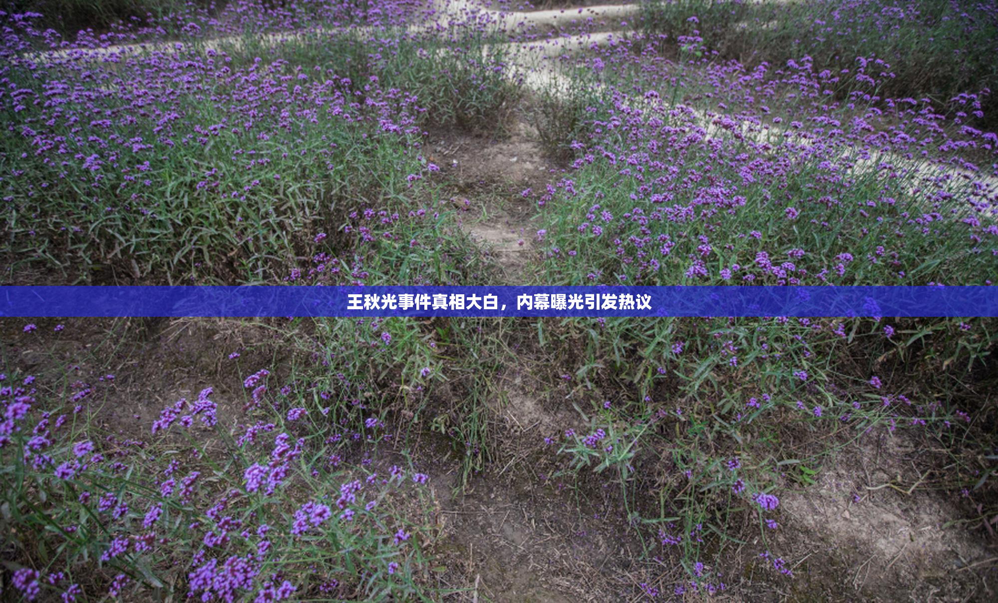 王秋光事件真相大白，内幕曝光引发热议