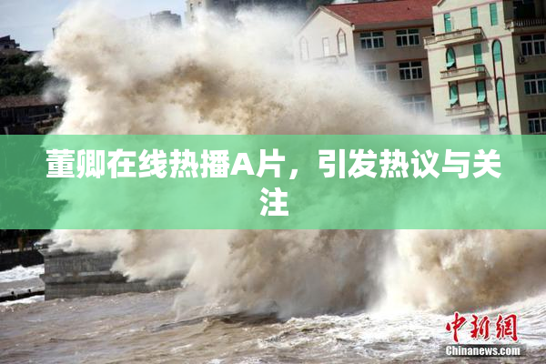 董卿在线热播A片，引发热议与关注