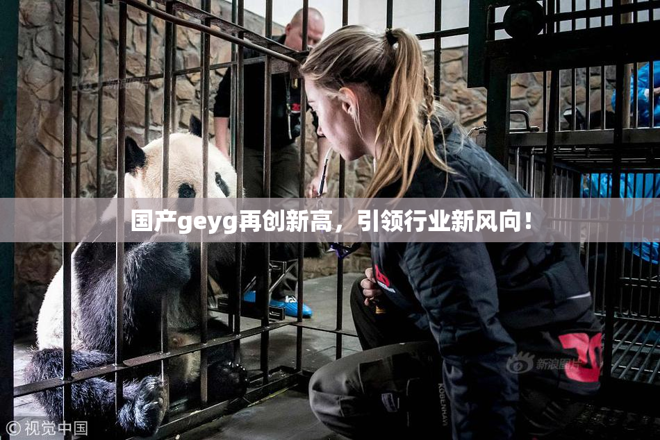 国产geyg再创新高，引领行业新风向！
