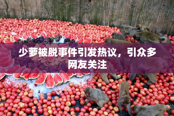 少萝被脱事件引发热议，引众多网友关注