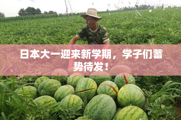 日本大一迎来新学期，学子们蓄势待发！