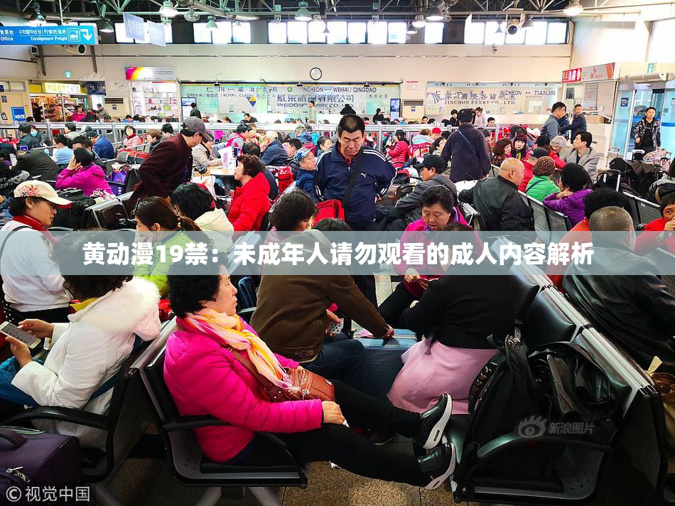 黄动漫19禁：未成年人请勿观看的成人内容解析