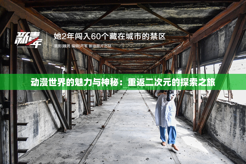 动漫世界的魅力与神秘：重返二次元的探索之旅