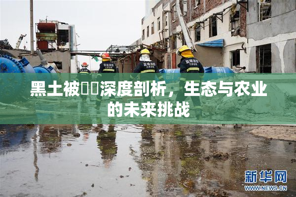 黑土被❌‌深度剖析，生态与农业的未来挑战