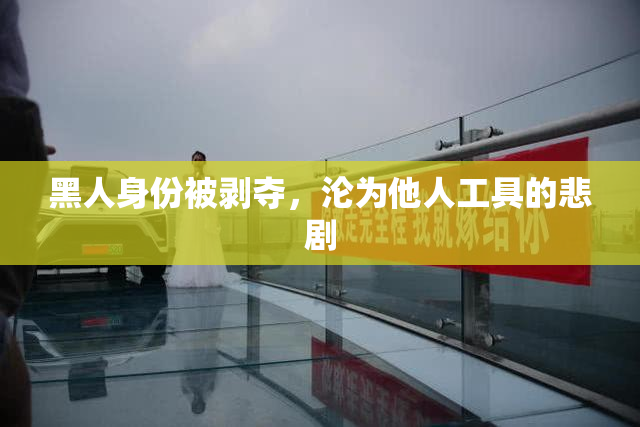 黑人身份被剥夺，沦为他人工具的悲剧