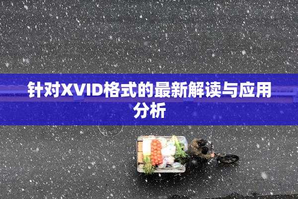 针对XVID格式的最新解读与应用分析