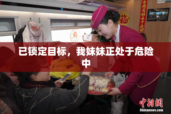 已锁定目标，我妹妹正处于危险中