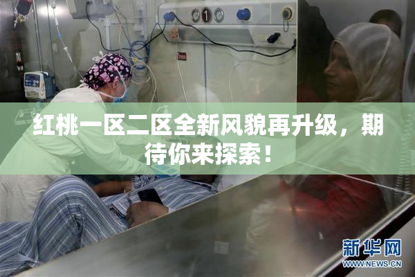 红桃一区二区全新风貌再升级，期待你来探索！