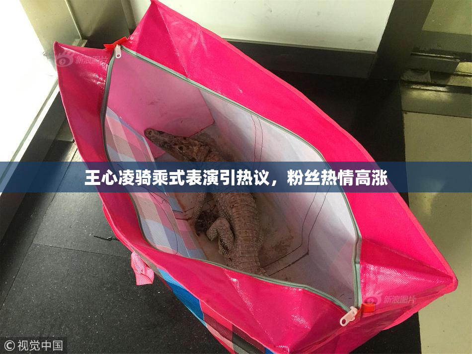 王心凌骑乘式表演引热议，粉丝热情高涨