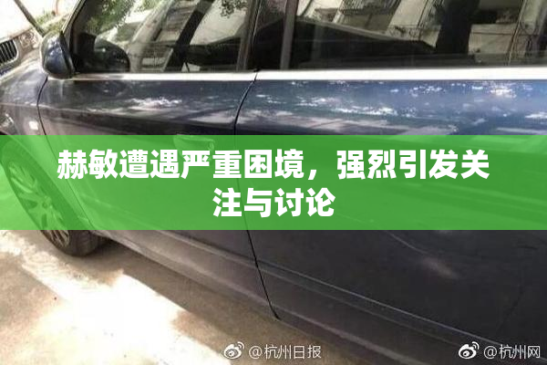 赫敏遭遇严重困境，强烈引发关注与讨论