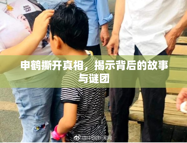 申鹤撕开真相，揭示背后的故事与谜团