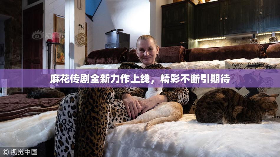 麻花传剧全新力作上线，精彩不断引期待