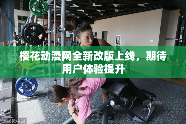 樱花动漫网全新改版上线，期待用户体验提升