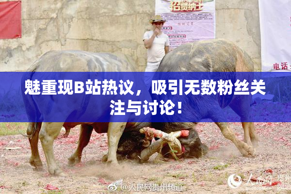 魅重现B站热议，吸引无数粉丝关注与讨论！