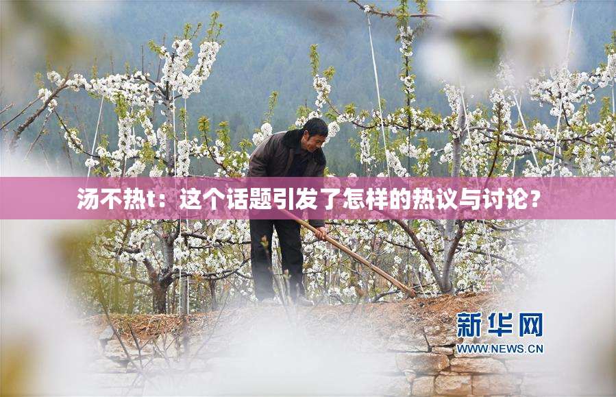 汤不热t：这个话题引发了怎样的热议与讨论？
