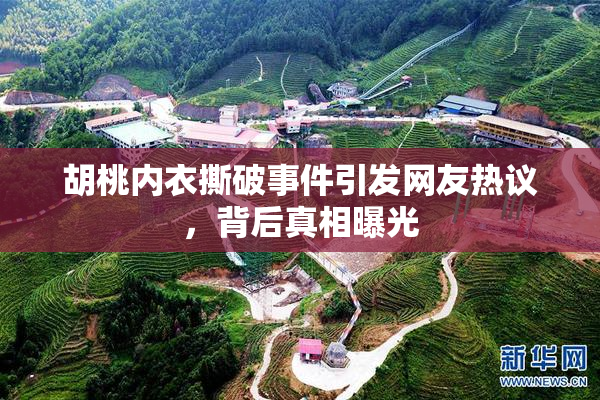 胡桃内衣撕破事件引发网友热议，背后真相曝光