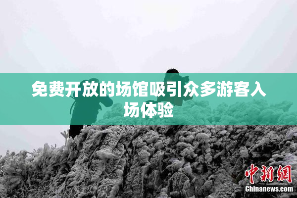 免费开放的场馆吸引众多游客入场体验