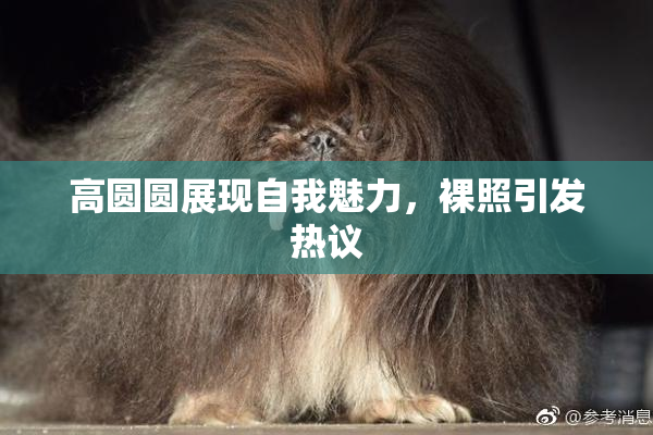 高圆圆展现自我魅力，裸照引发热议