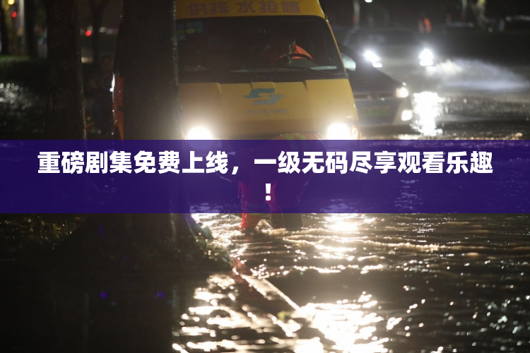 重磅剧集免费上线，一级无码尽享观看乐趣！