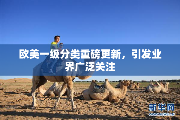 欧美一级分类重磅更新，引发业界广泛关注